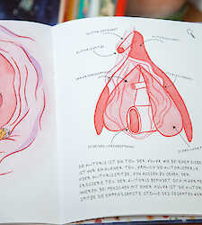 Lina die Entdeckerin - Kinderbuch über die Vulva