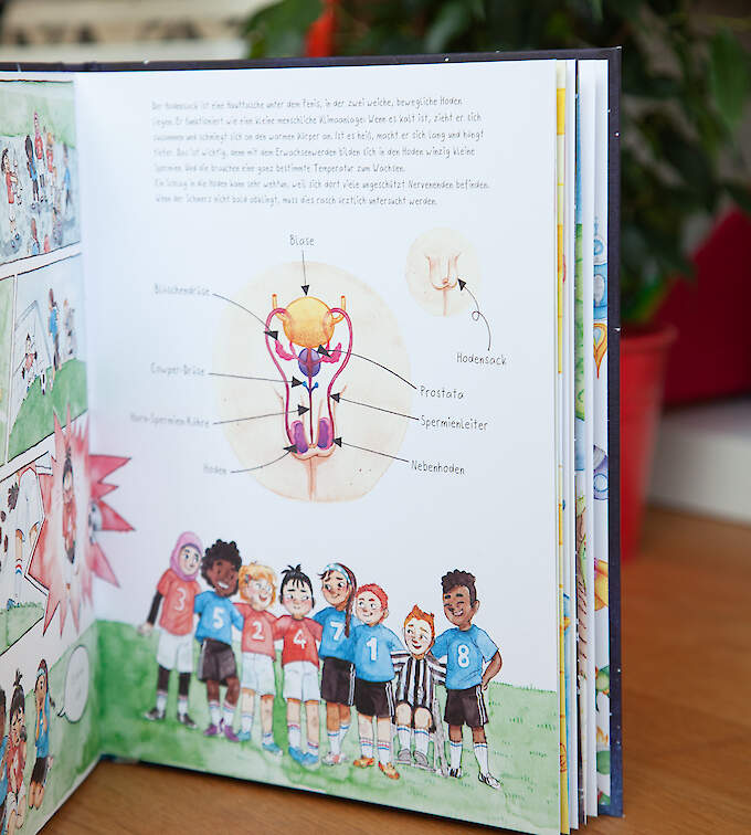 Bruno will hoch hinaus - Kinderbuch über den Penis