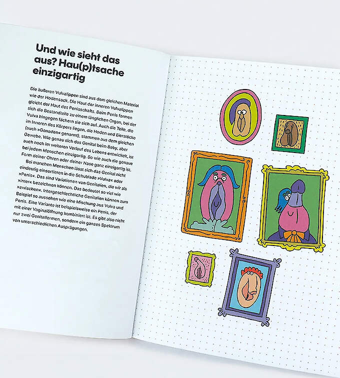 Vulva! - Wissen für unter der Gürtellinie